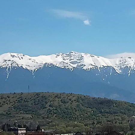 Le Nid D'Adam Lägenhet Zărneşti Exteriör bild
