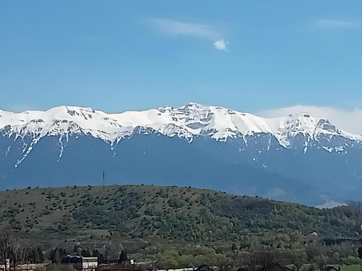 Le Nid D'Adam Lägenhet Zărneşti Exteriör bild